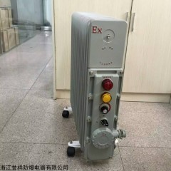 BYT系列防爆電熱汀