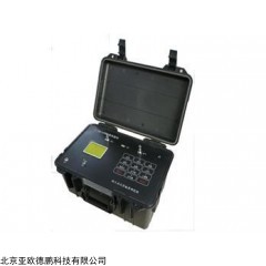 DP16145  环境测氡仪