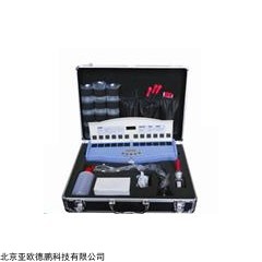 DP16286  便携式果树农残检测仪