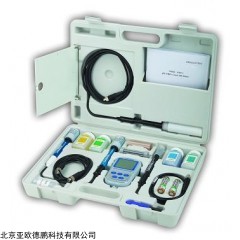 DP16323  便携式五参数水质检测仪
