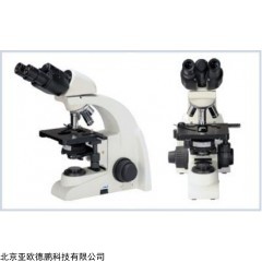 DP17029  无限远生物显微镜