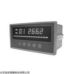 DP17126  温度巡检仪