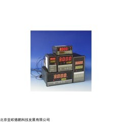DP14763 智能数显调节仪