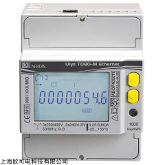ENERDIS 法国ENERDIS电气检测仪器