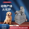 LZX--200 供應(yīng)研究室動物尸體焚燒爐 無二次污染