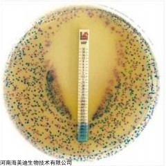 920450 意大利利飞驰环丙沙星MIC条