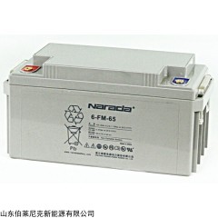 GFM-300P 南都蓄電池GFM-300P技術及規(guī)格
