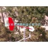 DP15033  风向标
