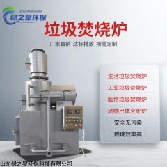 LZX--200 供應(yīng)5噸塑料類垃圾焚燒爐 燃燒效率高