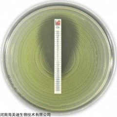 920300 意大利利飞驰药敏条 阿奇霉素AZM
