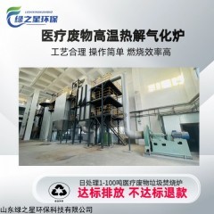 大型生活垃圾焚燒爐 醫(yī)療廢物高溫?zé)峤馓幚碓O(shè)備