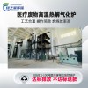 大型生活垃圾焚燒爐 醫(yī)療廢物高溫熱解處理設備