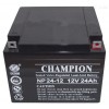 NP12-12 冠軍蓄電池