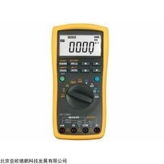 DP16979  过程多用表