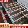 一米 中藥黃芬清洗機(jī) 玉米加工流水線(xiàn) 板栗全自動(dòng)氣泡清洗機(jī)