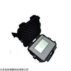 DP-2200 腐蚀测量仪