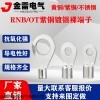 圆形裸端子 环形冷压端子 紫铜镀银接线鼻