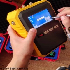 DP29900 裂缝综合测试仪