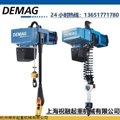 齐全 德马格轻型起重机、250kg德马格电动葫芦带轨道