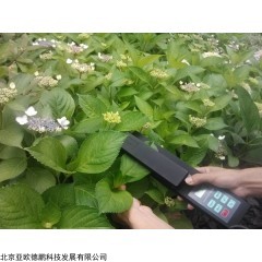 DP29568 叶面积测量仪