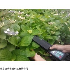 DP29568 叶面积测量仪