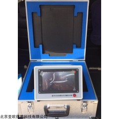 DP29448  数字式标准模拟应变量校准器