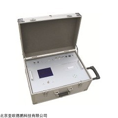 DP29306  便携式汽车排气分析仪