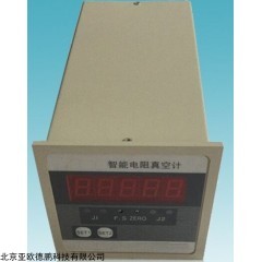 DP28928  智能电阻真空计