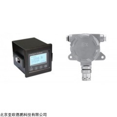 DP28899  固定式氢气检测仪