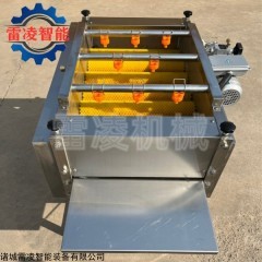 全自动粽叶清洗机 荷叶清洗设备 芦苇叶清洗机