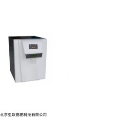 DP28588 超纯水机