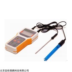 DP28481-4 手持式PH计