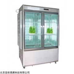 DP27699  光照培养箱