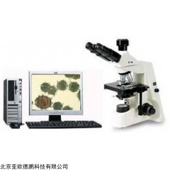 DP27571  显微图像分析系统