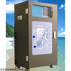 DP27421 有效氯在线分析仪,在线式有效氯检测仪