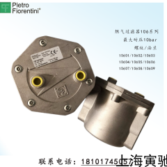 10601 10602 10603 10604 10605 10606 意大利Pietro Fiorentini菲奥10601 10602 系列原装进口燃气过滤器调压器
