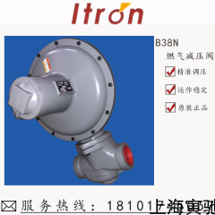 B38N B233 美國ITRON埃創B38 B38N原裝進口工商業燃氣調壓器調壓閥