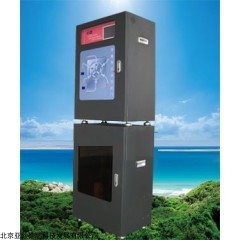 DP-FE2 在线式二价铁检测仪/亚铁离子在线监测仪