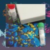KMP2236 生物素化重组人CD28蛋白
