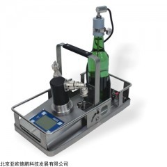 DP28903 巴氏杀菌监测仪(PU仪)