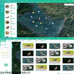 OSEN-PT 生物资源保护⽣物多样性监管云平台