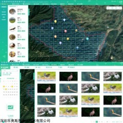 OSEN-PT 生物多样性监测统计分析信息化平台