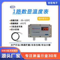 CYCW-2A 數(shù)字溫度表果蔬冷藏水產(chǎn)醫(yī)藥大棚