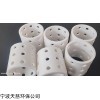 支持訂制 PTFE打孔拉西環(huán)填料 F4拉西環(huán)