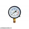 标准压力表