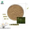 10：1 小米草提取物 水提工艺 全水溶产品 支持纯粉定制