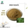 10：1 侧柏叶提取物 品质保障 全水溶产品 10:1提取