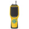 DP27876  便携式复合气体检测仪