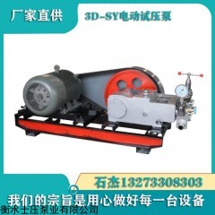 dsg  3缸大流量电动试压泵