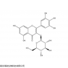 19833-12-6 杨梅素-3-O-葡萄糖苷